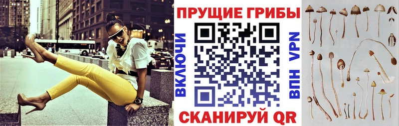Галлюциногенные грибы GOLDEN TEACHER  Приволжский 